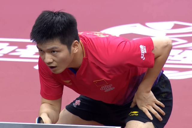 斯佳辉作为 斯佳辉作为