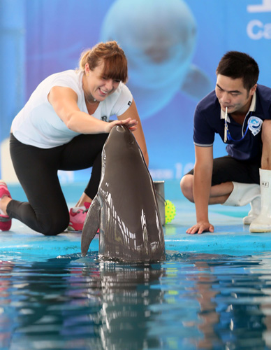 策应与传球 策应与传球