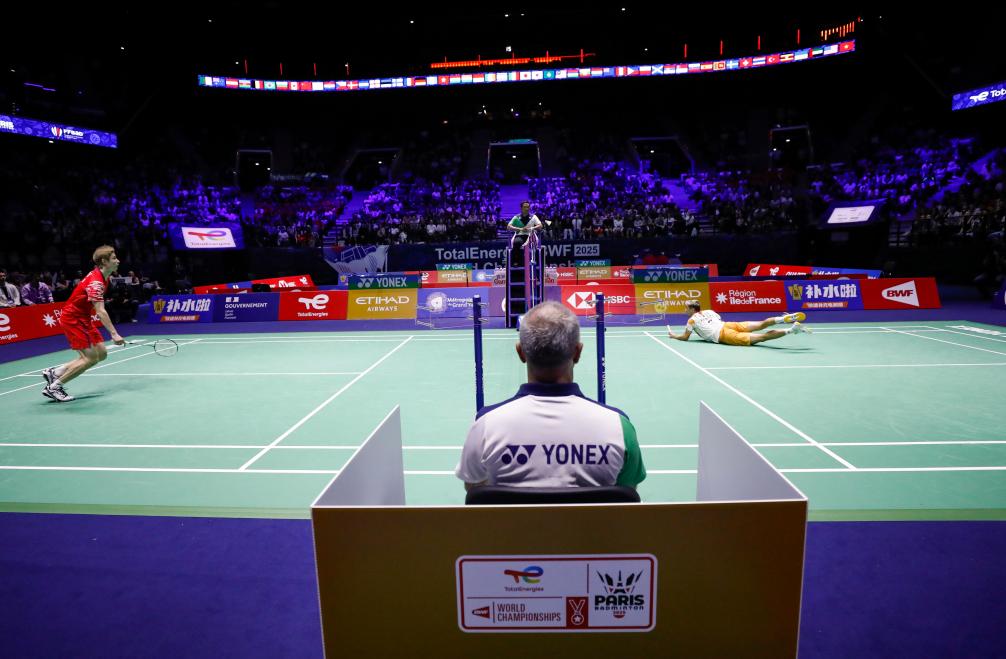 11黄蜂逆 11黄蜂逆