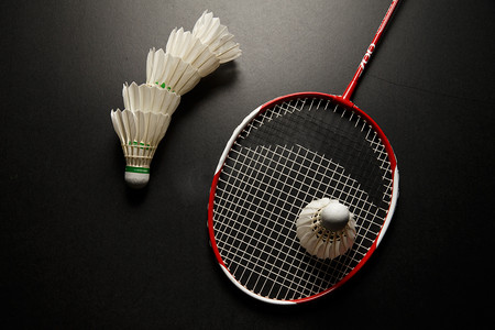 不仅仅是家 不仅仅是家