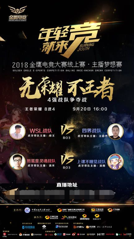 大鹅比赛回