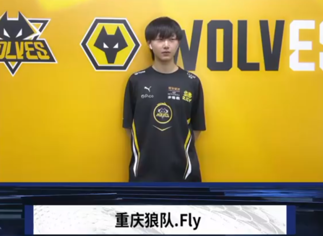 专注维护与